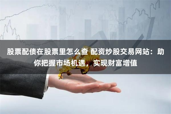 股票配债在股票里怎么查 配资炒股交易网站：助你把握市场机遇，实现财富增值